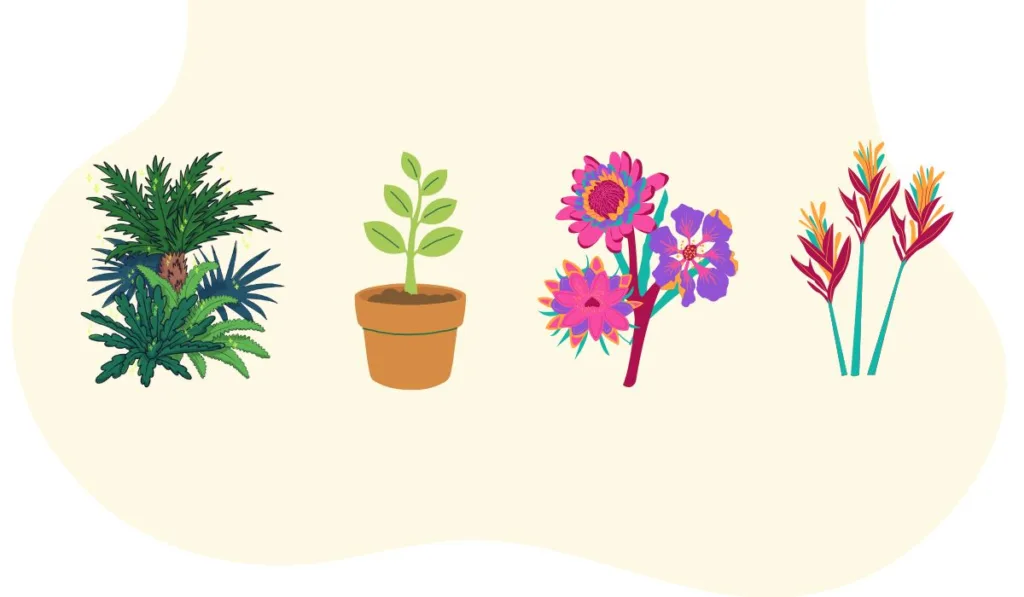 Plante espécies nativas no jardim